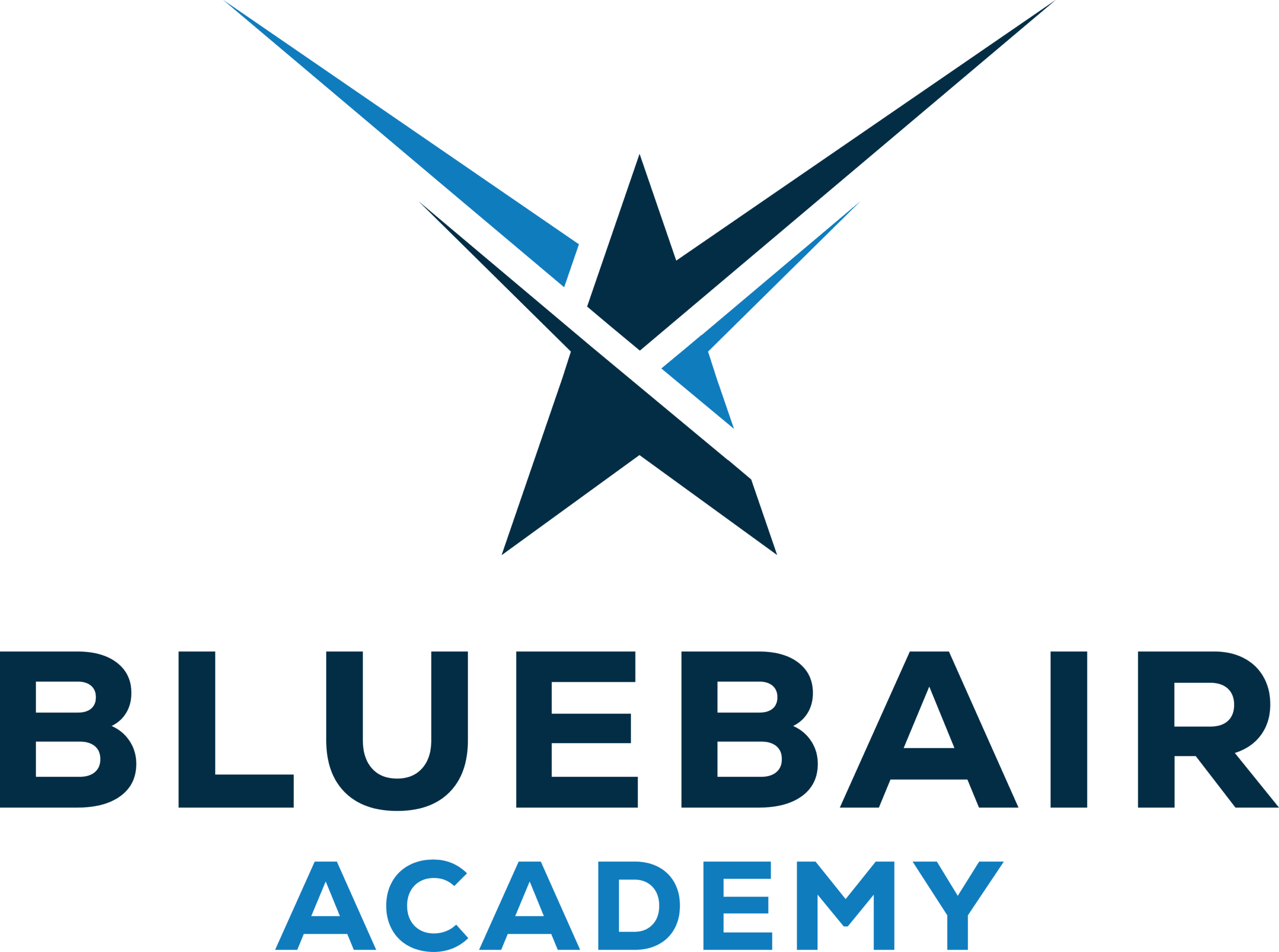 Bluebair Jet Academy