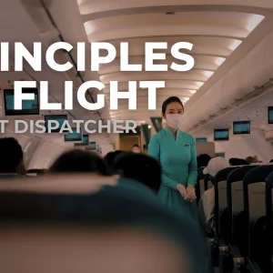 Principles Of Flight